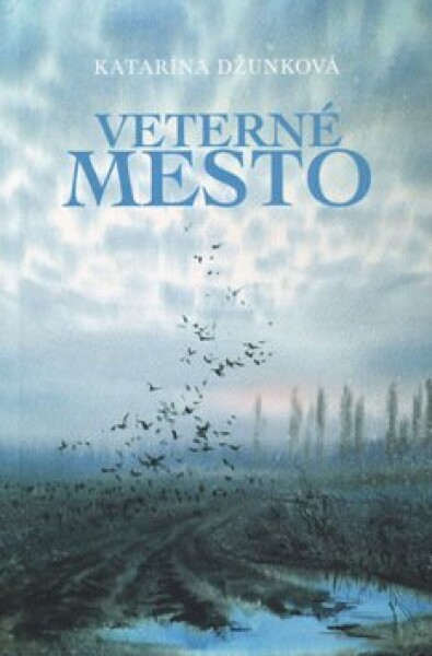 Veterné mesto