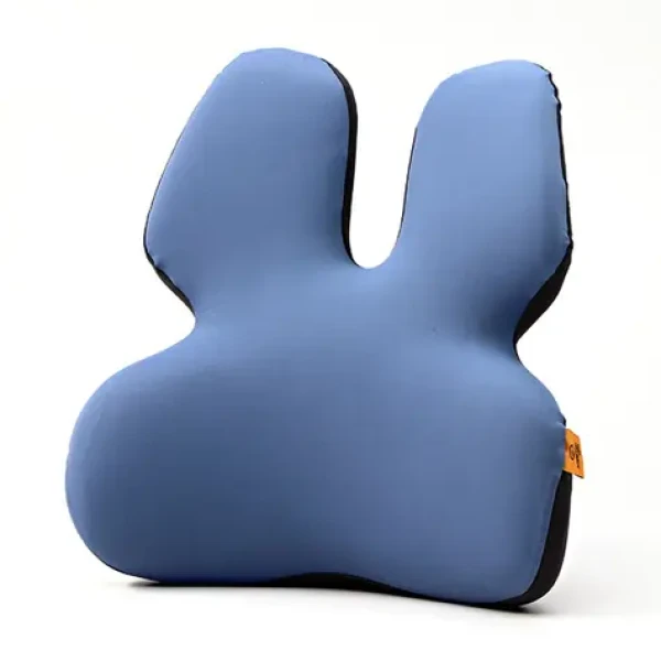 Powerton Bederní opěrka modrá / ergonomická / paměťová pěna (WPEUS6)