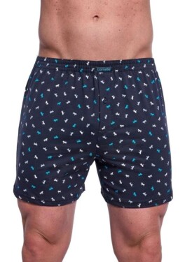 Pánské trenýrky Cornette Comfort 002/313