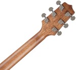 Takamine GD20-NS