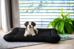 Woof miska pro psa Barva: Tyrkysová