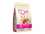 Wellness Core Cat Ocean Adult Sterilised losos 300g / Granule pro kočky / pro sterilizované a starší kočky (076344107163)