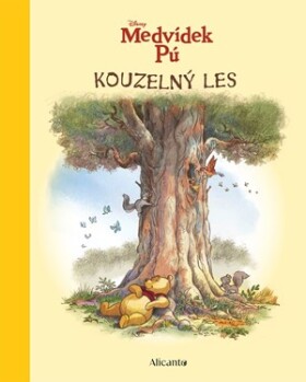 Medvídek Pú - Kouzelný les