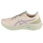 Boty Asics GT-1000 13 TR M 1011C043-300 42