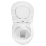 REA - Závěsná WC mísa včetně sedátka Carlos Nature Marble REA-C6606