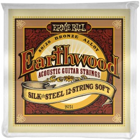 Ernie Ball 2051 Earthwood Silk & Steel 12-String Soft