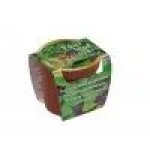 Ptakoviny.cz Čtyřlístek vypěstuj si..