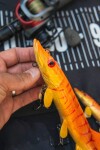 Fox Rage Gumová nástraha Ultra Realistic Replicant Pike Golden Pike - 15cm 39g,Fox Rage Gumová nástraha Ultra Realistic Replicant Pike Golden Pike -