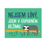 Cedulka na dveře - Nejsem líný