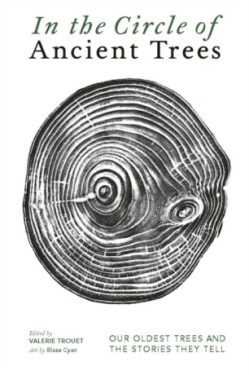 In The Circle of Ancient Trees