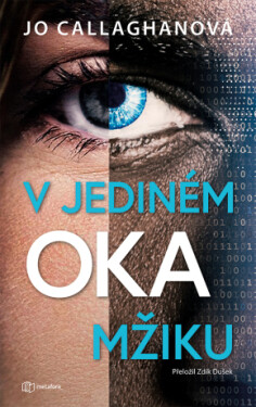 V jediném okamžiku - Jo Callaghan - e-kniha