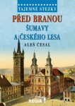 Tajemné stezky - Před branou Šumavy a Českého lesa - Aleš Česal