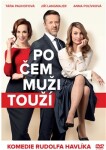 Po čem muži touží - DVD