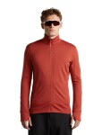 Pánská merino mikina ICEBREAKER Mens Merino 260 Quantum IV LS Zip, Agate velikost: XL