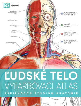 Ľudské telo - vyfarbovací atlas - kolektiv autorů