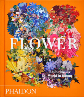 Flower: Exploring the World in Bloom - Anna Pavord