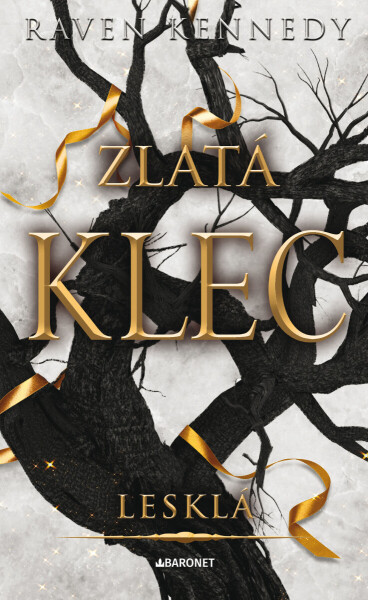 Lesklá - Raven Kennedy