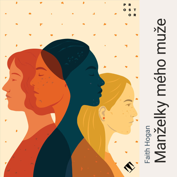 Manželky mého muže - Faith Hoganová - audiokniha