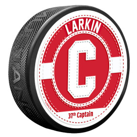 Mustang Puk Detroit Red Wings NHL Captain Jersey Stitch - Dylan Larkin