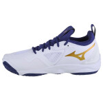 Boty Mizuno Wave Momentum V1GA231243