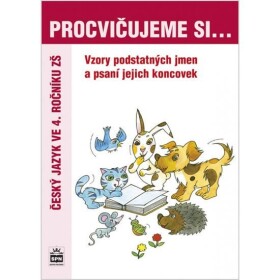 Procvičujeme si vzory psaní koncovek podstatných jmen