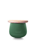Stapelstein Spring Special Dynamic small water lily, 2 ks