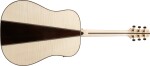 Ibanez AAD371E ATW