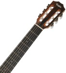 Taylor 214ce-N