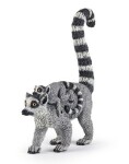 Lemur mládě