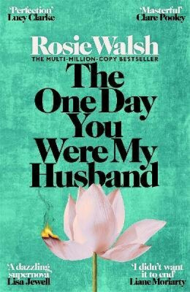 One Day You Were My Husband - Rosie Walsh