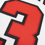 Mitchell & Ness Pánský dres Chicago Bulls NBA Dennis Rodman #91 1997-98 Authentic Velikost: S
