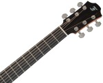 Furch Blue Plus Gc-SW CNR Active 2026
