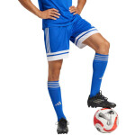 Šortky adidas Squadra 25 M JH3405 m