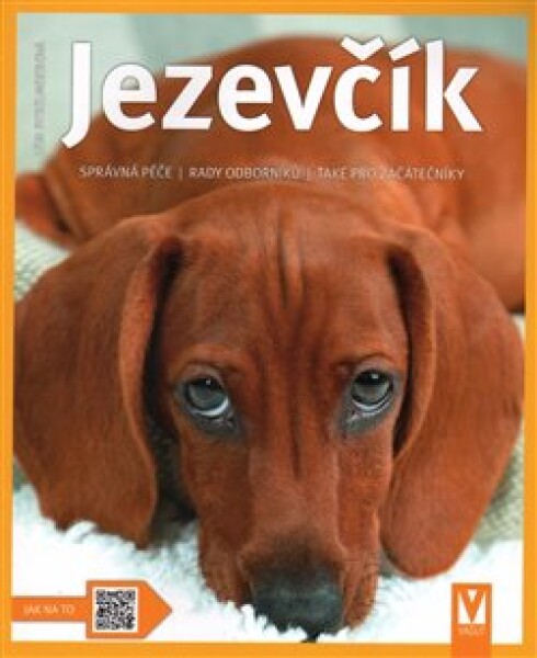 Jezevčík Leni