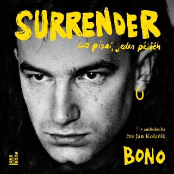 Surrender: 40 písní, jeden příběh - Bono - audiokniha