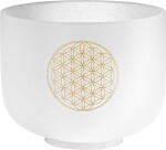 Meinl Sonic Energy CSB8FOL