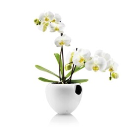 Eva Solo Samozavlažovací obal na květináč Orchid Pot White, bílá barva, keramika