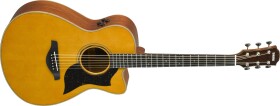 Yamaha AC5M ARE VNT