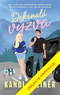 Dokonalá výzva - Kandi Steiner