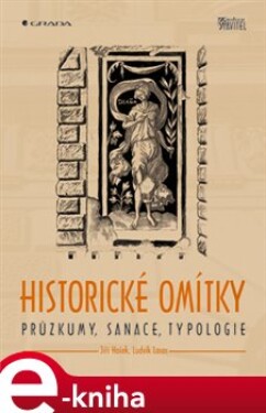 Historické omítky. Průzkum, sanace, typologie - Jiří Hošek, Ludvík Losos e-kniha