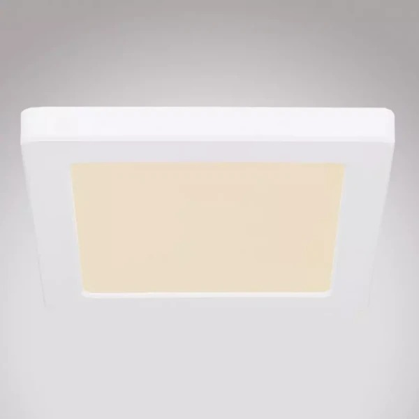 Svítidlo 12380-12W LED 12W bílý PL