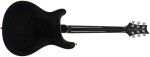 PRS SE Hollowbody Standard Dog Hair Smokeburst