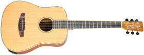 Tanglewood TRX2E