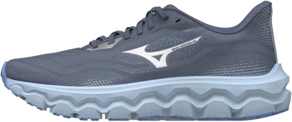 Běžecké boty Mizuno WAVE HORIZON 9 J1GD262622 Velikost obuvi v EU: 36,5