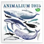 Kalendář 2025 poznámkový: Animalium,