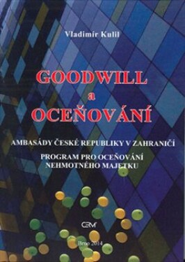 Goodwill oceňování Vladimír Kulil