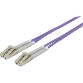 Intellinet 751162 optické vlákno optické vlákno kabel [1x zástrčka LC - 1x zástrčka LC] 50/125 µ Multimode OM4 3.00 m