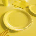 Talíře žluté papírové 8 ks 23 cm Talíře žluté papírové 8 ks 23 cm