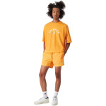 Champion Beachshort M 219979 OS059 plavecké šortky s