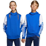 Adidas Squadra 25 Sweat Hoody Jr JD4806 Mikina 164 cm